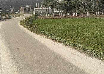 5 Katha Ready Plot sale in Narayanganj Sadar Gallery Image