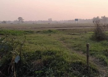 Ready plot for sale in Mymensingh Gallery Image